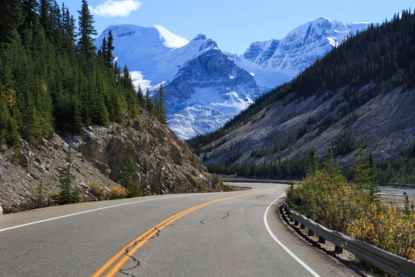 Icefields parkway — Stock Photo, Image