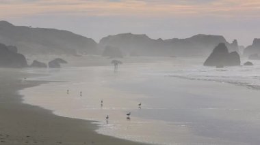 Pasifik kıyısında sörf