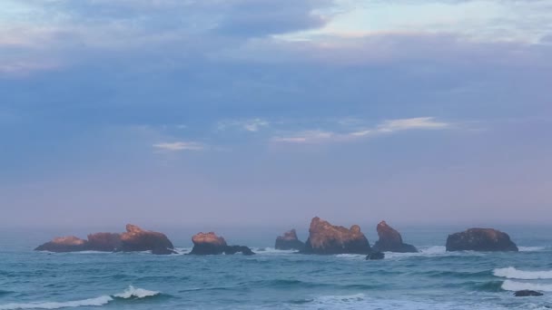 Surfa på Stillahavskusten — Stockvideo