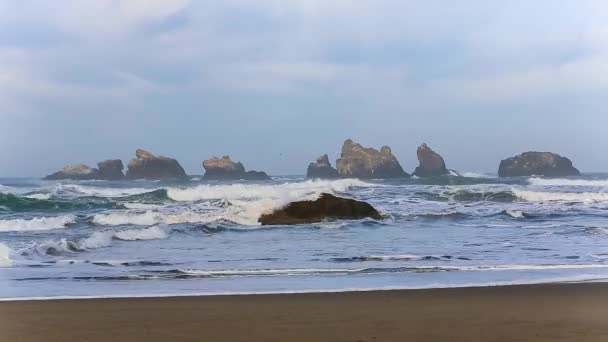 在太平洋海岸冲浪 — 图库视频影像