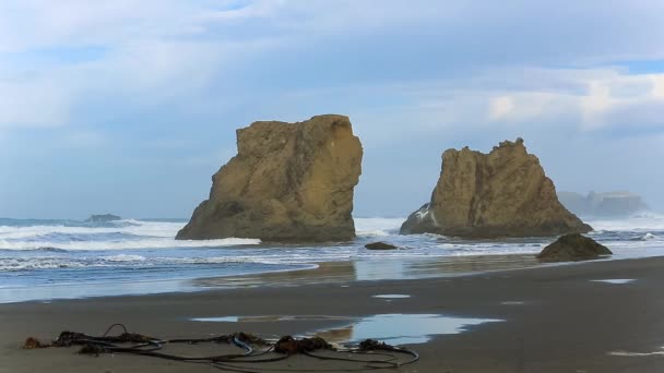 Surf en la costa del Pacífico — Vídeos de Stock