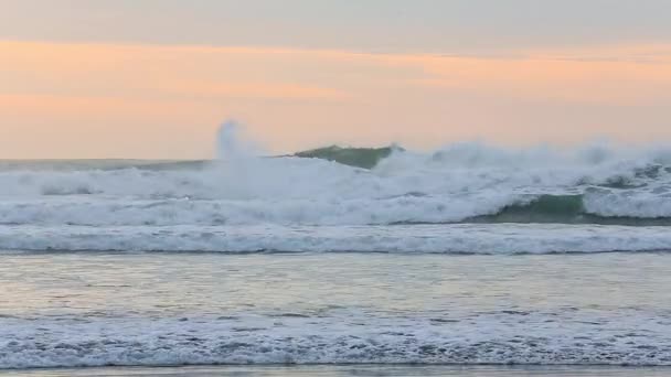 Surfe på stillehavskysten – stockvideo