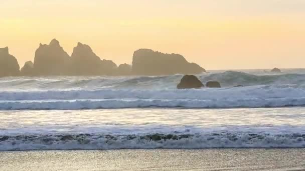 Surf en la costa del Pacífico — Vídeos de Stock