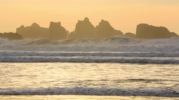 Surf na costa do Pacífico — Vídeo de Stock