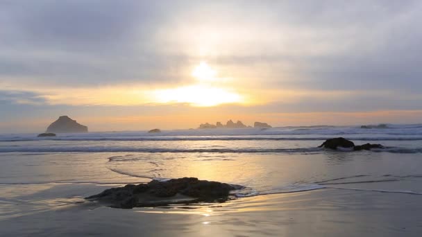 Surfer sur la côte du Pacifique — Video