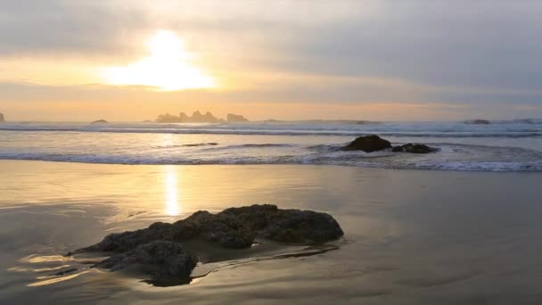 Surf en la costa del Pacífico — Vídeos de Stock