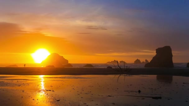 Fotograf na pobřeží Tichého oceánu v západu slunce světlo — Stock video