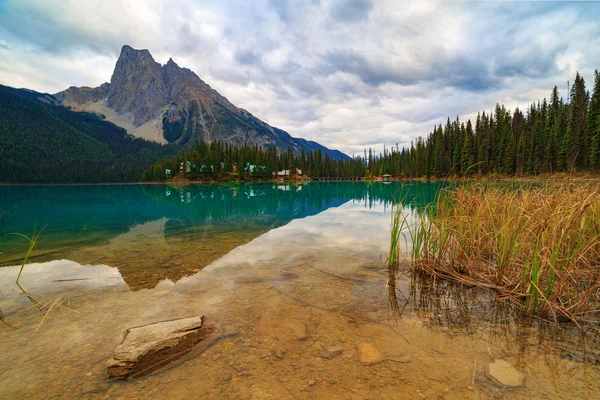 Emerald Lake Réflexions — Photo