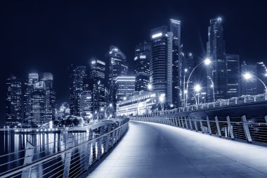 Singapur şehir gece görünümü