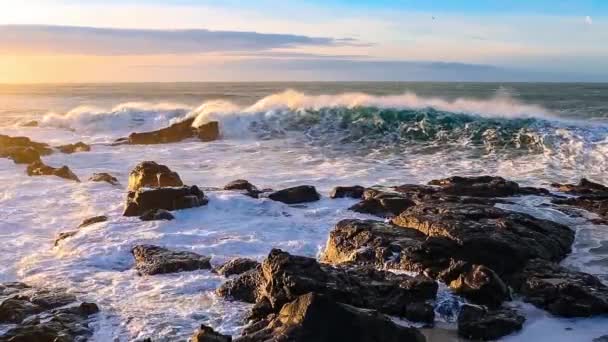 Wellen an der isländischen Küste — Stockvideo