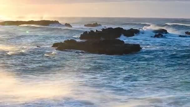 Ondas na costa da Islândia — Vídeo de Stock