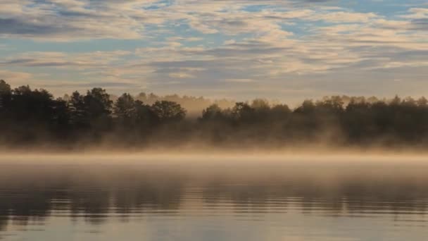 Brouillard mouvant sur le lac — Video