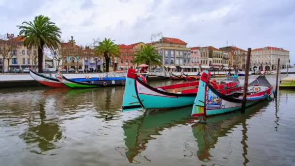 Boten in Aveiro — Stockvideo