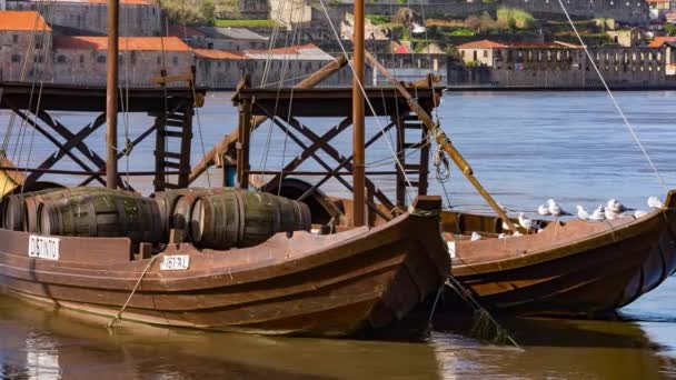 Traditionelle Transportboote in porto — Stockvideo