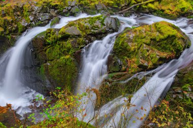 Yağmur ormanlarında sol Duc şelale