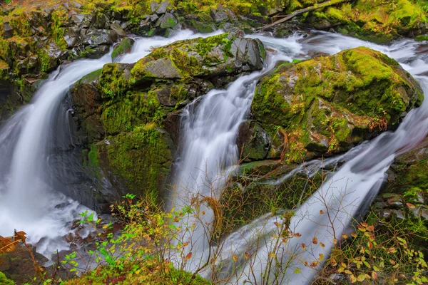 Sol Duc waterfall in Rain Forest — Stock Photo, Image