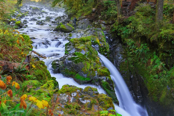 Sol Duc vattenfall i regnskogen — Stockfoto