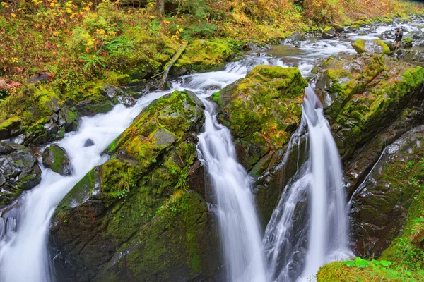 Водопад Sol Duc в тропическом лесу — стоковое фото