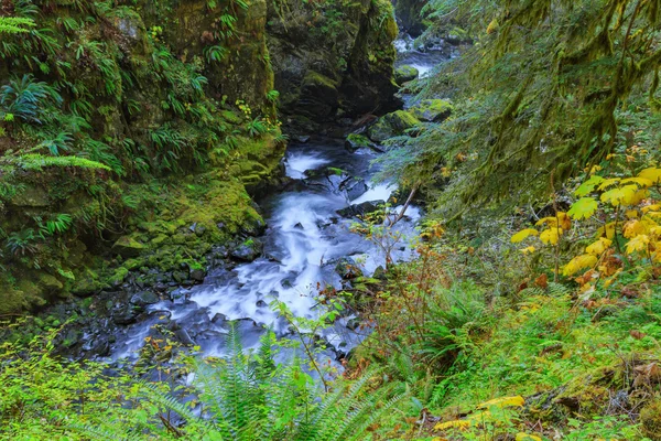 Sol Duc waterval in het regenwoud — Stockfoto