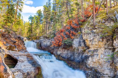 Güzellik Creek Güz
