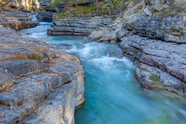 Güzellik Creek Güz