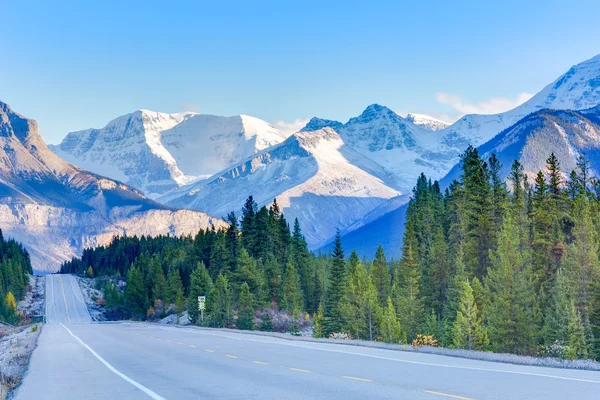 Road in Canada — Stock Photo, Image