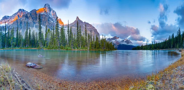 Bow lake panorama — Stock Photo, Image