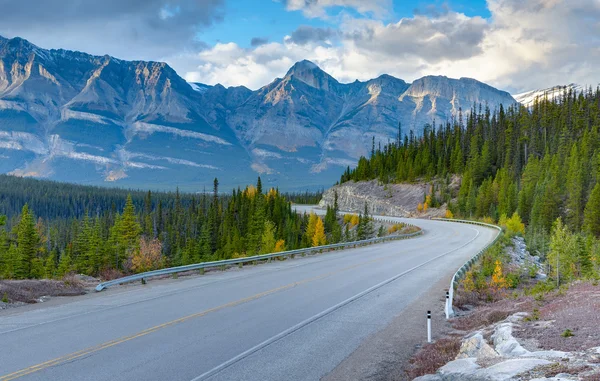 Icefields Parkway, Kanada — Stok Foto