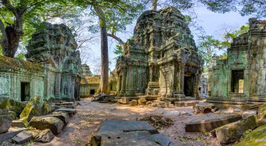 Angkor wat, Kamboçya. ta prohm Turkish antik Budist tapınağı.