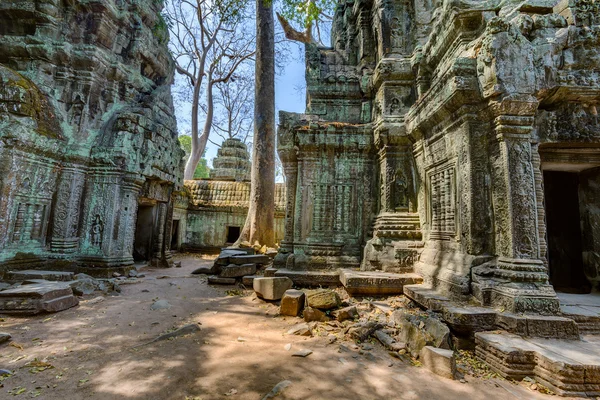 Angkor wat Kambodja. ta prohm khmer antika buddhistiska tempel. — Stockfoto