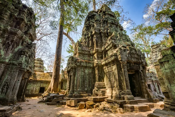 Angkor wat Kambodja. ta prohm khmer antika buddhistiska tempel. — Stockfoto