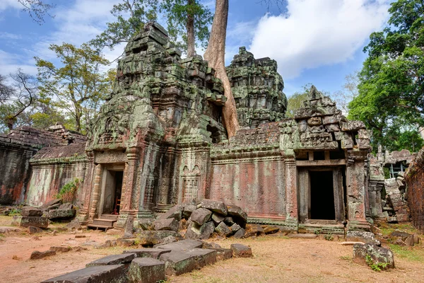 Angkor wat Kambodja. ta prohm khmer antika buddhistiska tempel. — Stockfoto