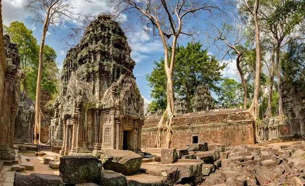 Angkor wat Cambodja. ta prohm khmer oude boeddhistische tempel. — Stockfoto