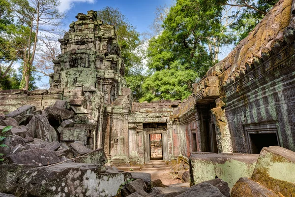 Angkor wat Cambodja. ta prohm khmer oude boeddhistische tempel. — Stockfoto