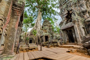 Angkor wat, Kamboçya. ta prohm Turkish antik Budist tapınağı.