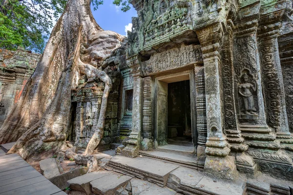 Angkor wat Kambodja. ta prohm khmer antika buddhistiska tempel. — Stockfoto