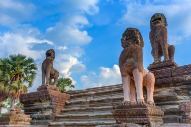 angkor wat tapınağı, siem hasadı, Kamboçya.