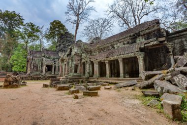 Angkor wat, Kamboçya. ta prohm Turkish antik Budist tapınağı.