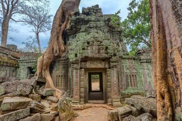Angkor wat Cambodja. ta prohm khmer oude boeddhistische tempel. — Stockfoto