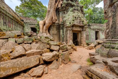 Angkor wat, Kamboçya. ta prohm Turkish antik Budist tapınağı.