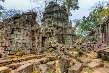 Angkor wat, Kamboçya. ta prohm Turkish antik Budist tapınağı.