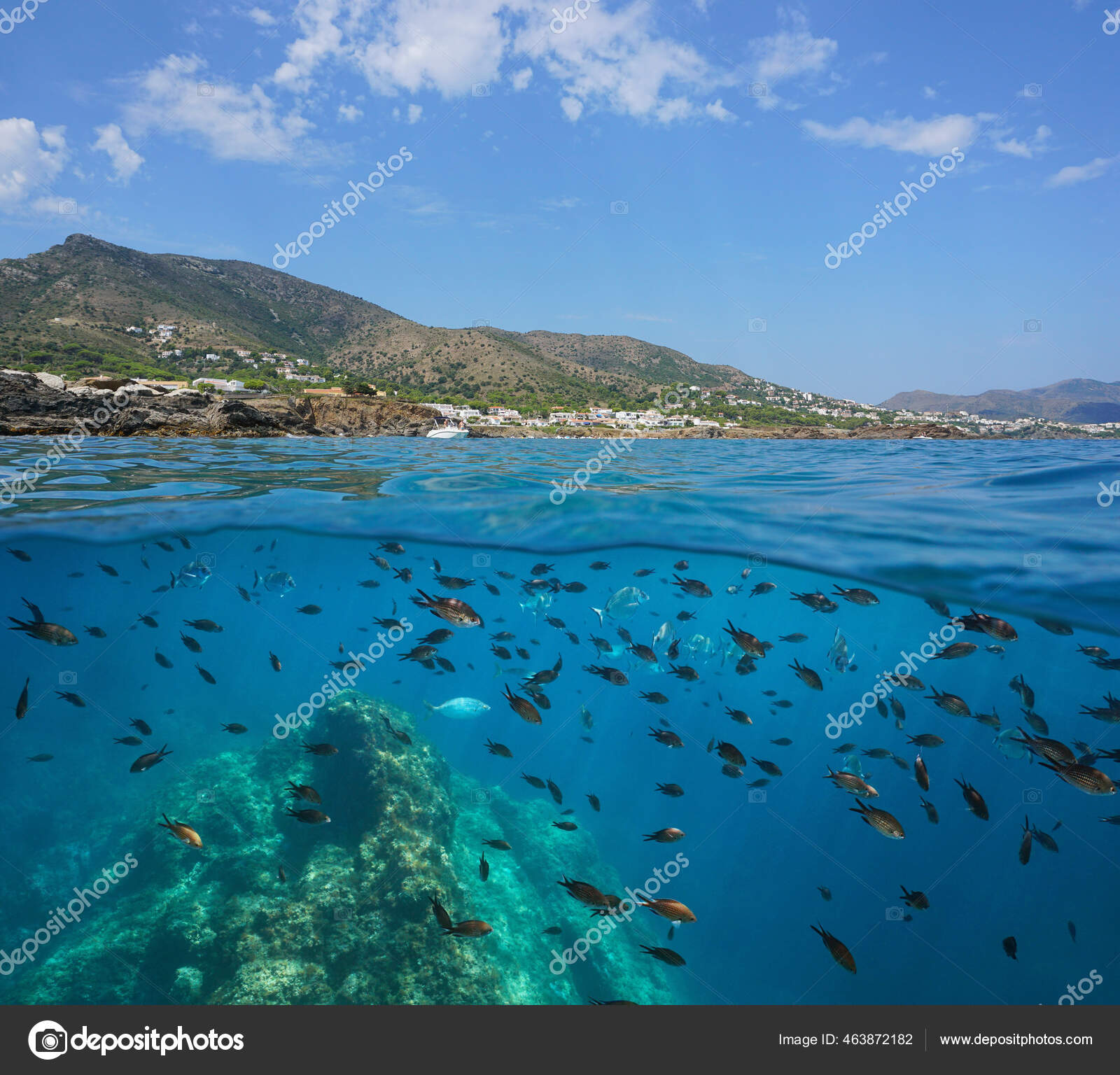 Mediterranean sea split view seagrass underwater Stock Photo by