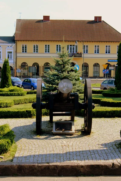 Sextonhundratalet kanonen i parken. — Stockfoto