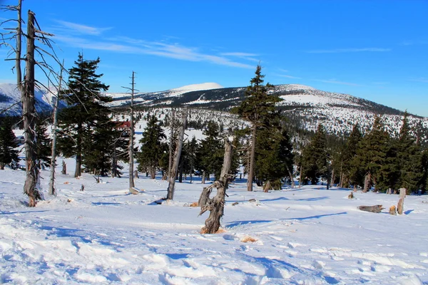 Kış Karkonoska geçişte.
