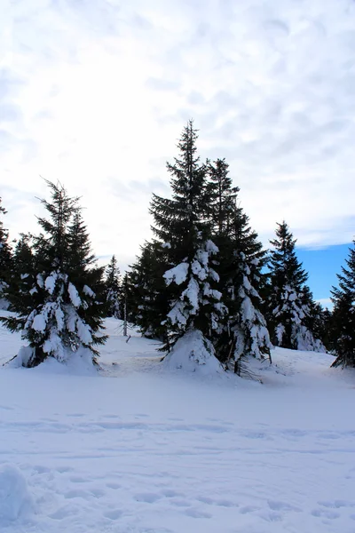 Kış Karkonoska geçişte.
