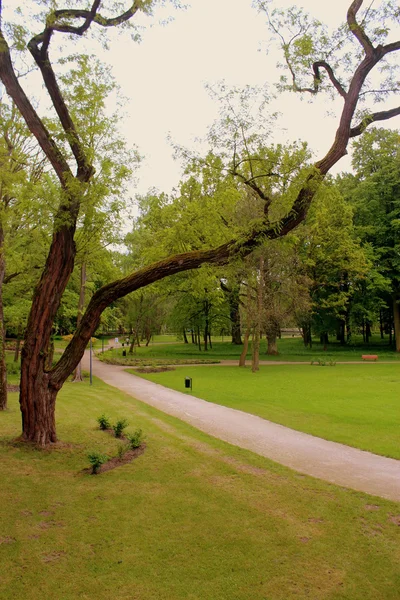 Lehçe bahar manzara.