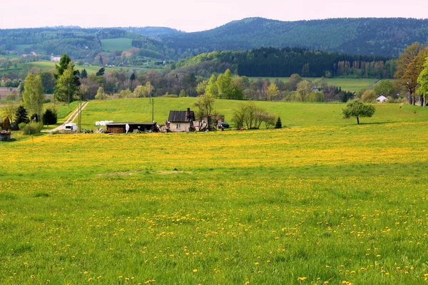 Poolse voorjaar landschap. — Stockfoto