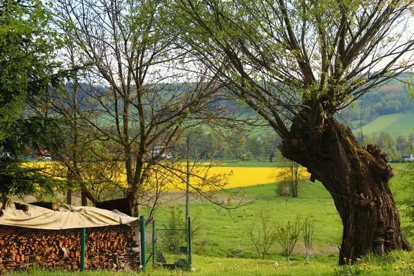Poolse voorjaar landschap. — Stockfoto