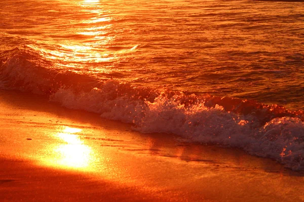 Baltık Denizi'nin akşam dalgalar.