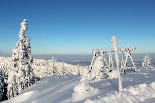 Dünya kar altında.